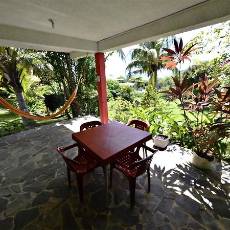 Windy View Guest House Archibolds Ngoại thất bức ảnh
