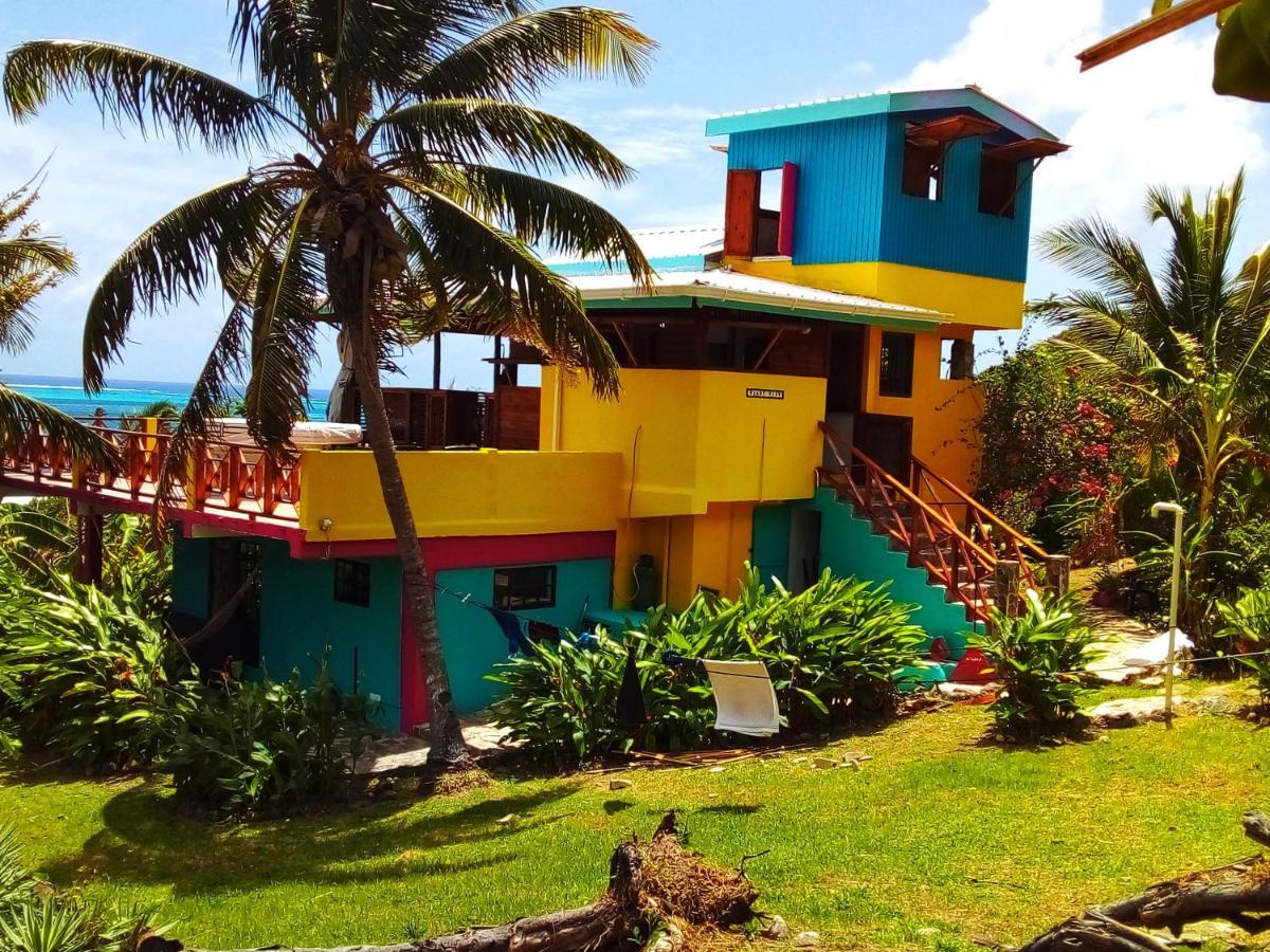 Windy View Guest House Archibolds Ngoại thất bức ảnh