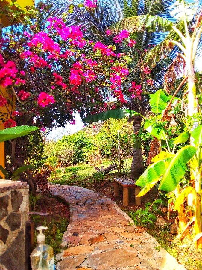 Windy View Guest House Archibolds Ngoại thất bức ảnh