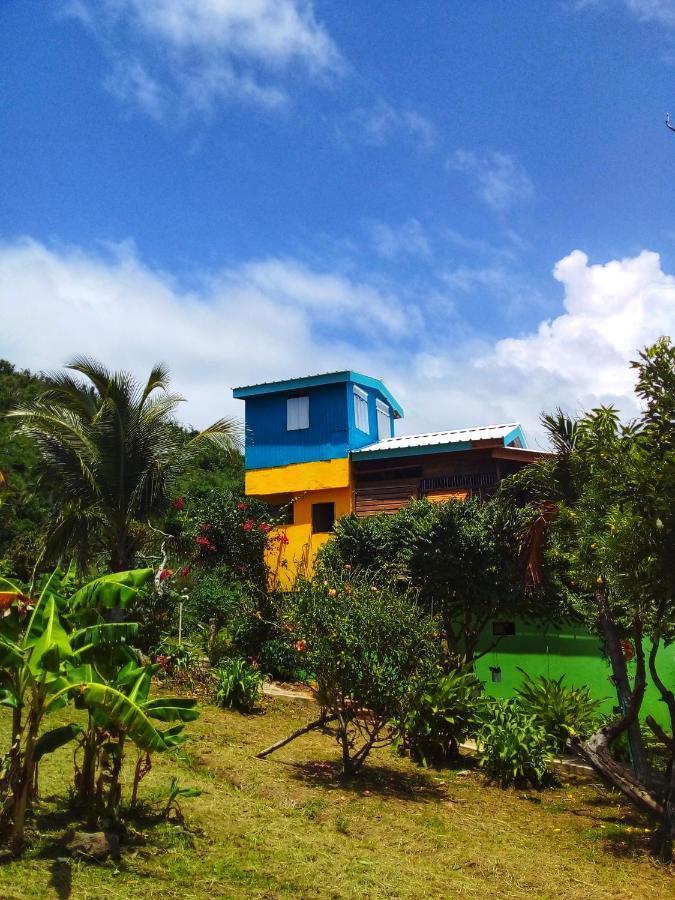 Windy View Guest House Archibolds Ngoại thất bức ảnh
