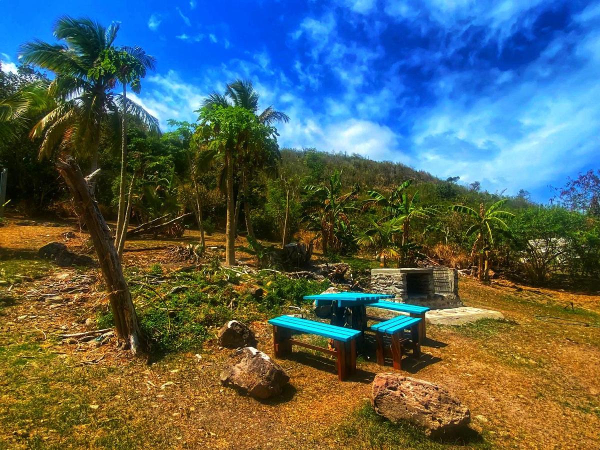 Windy View Guest House Archibolds Ngoại thất bức ảnh