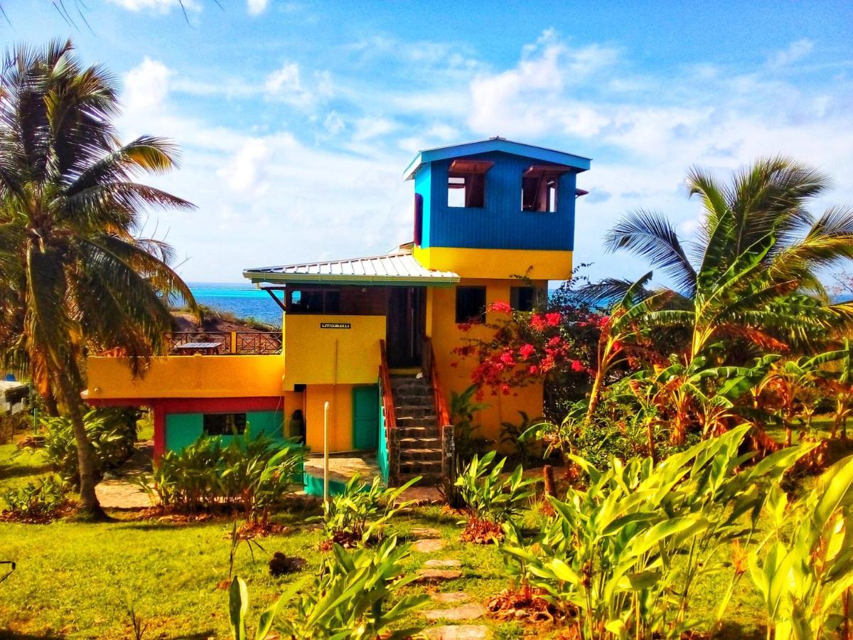 Windy View Guest House Archibolds Ngoại thất bức ảnh