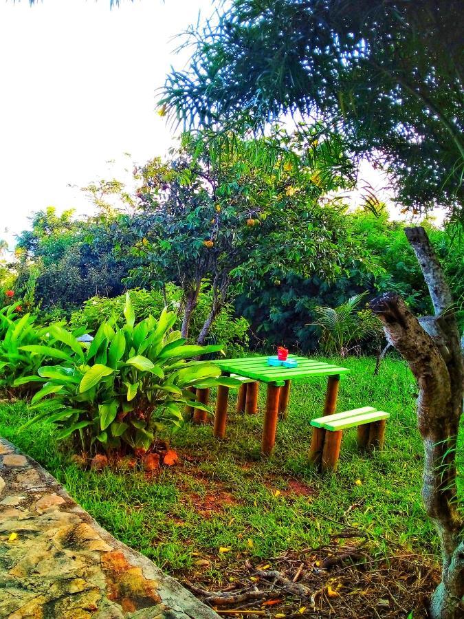 Windy View Guest House Archibolds Ngoại thất bức ảnh