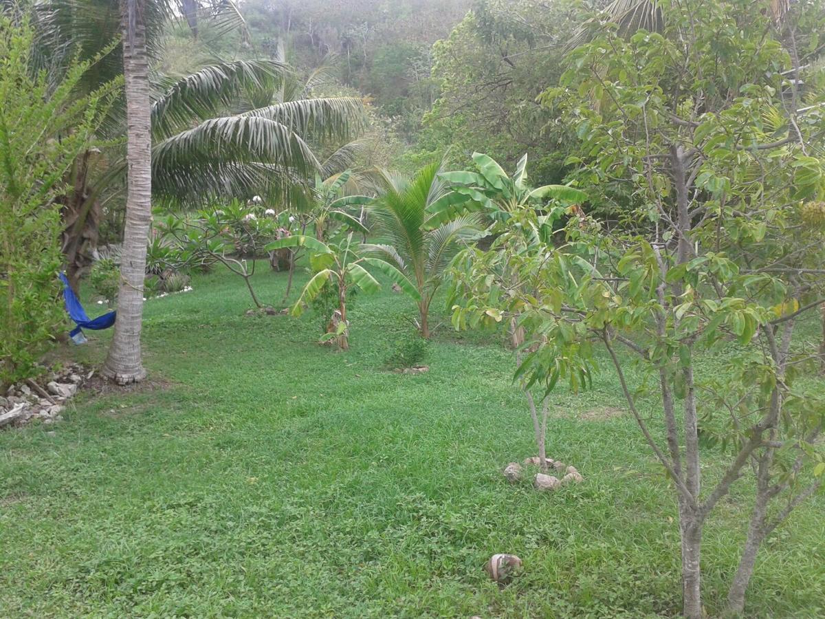 Windy View Guest House Archibolds Ngoại thất bức ảnh