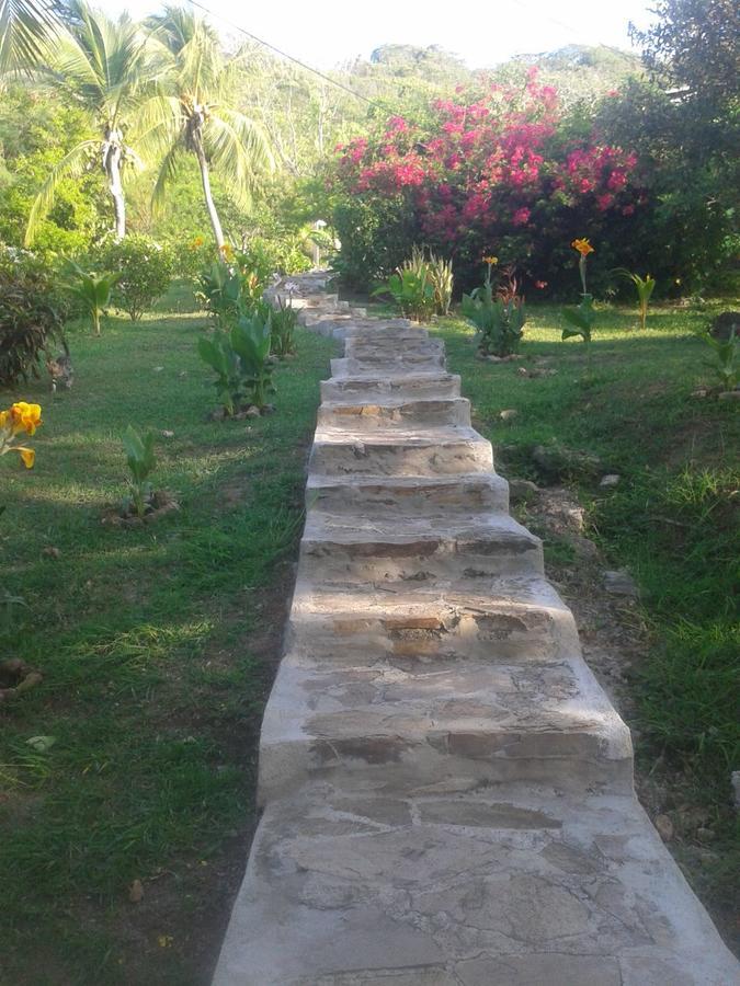 Windy View Guest House Archibolds Ngoại thất bức ảnh