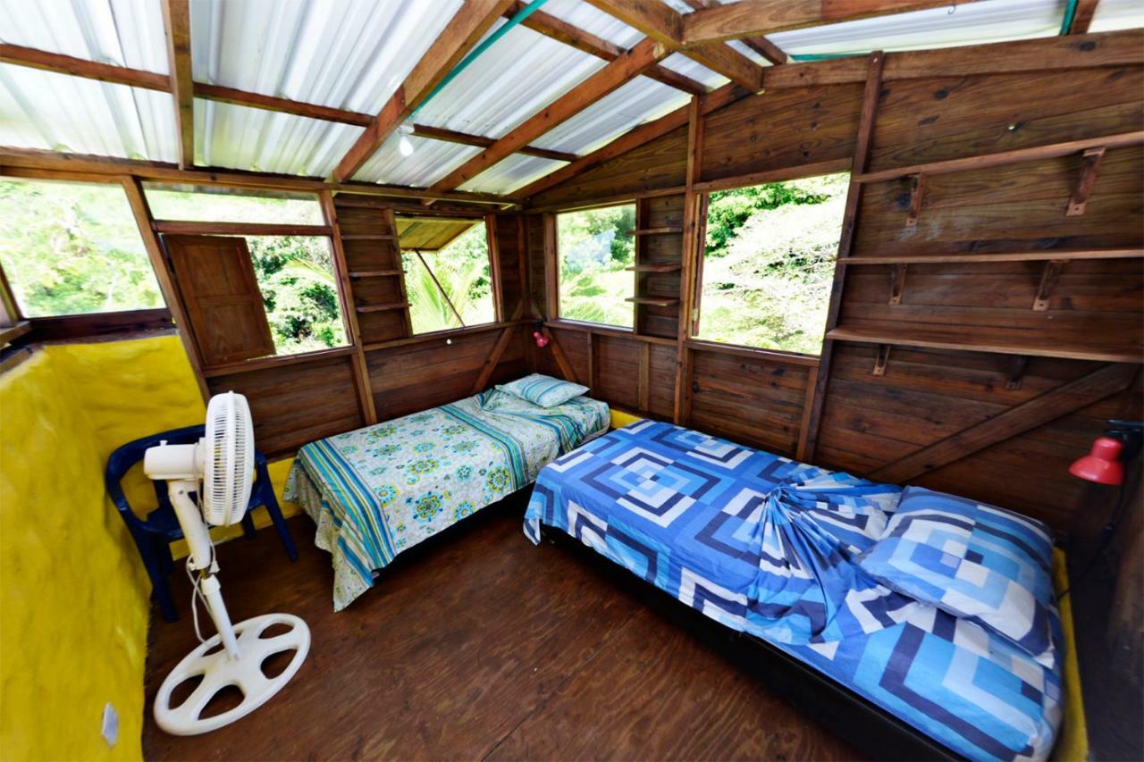 Windy View Guest House Archibolds Ngoại thất bức ảnh