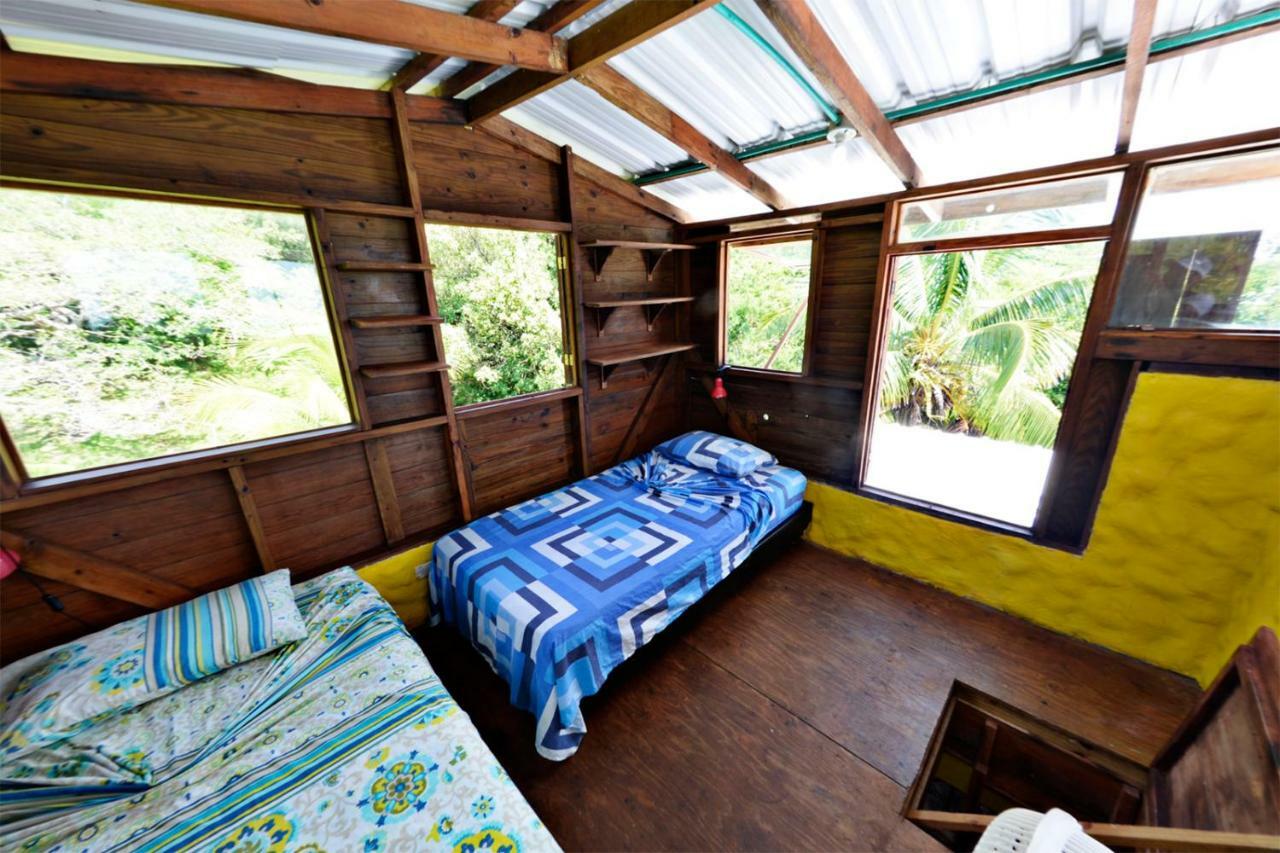 Windy View Guest House Archibolds Ngoại thất bức ảnh